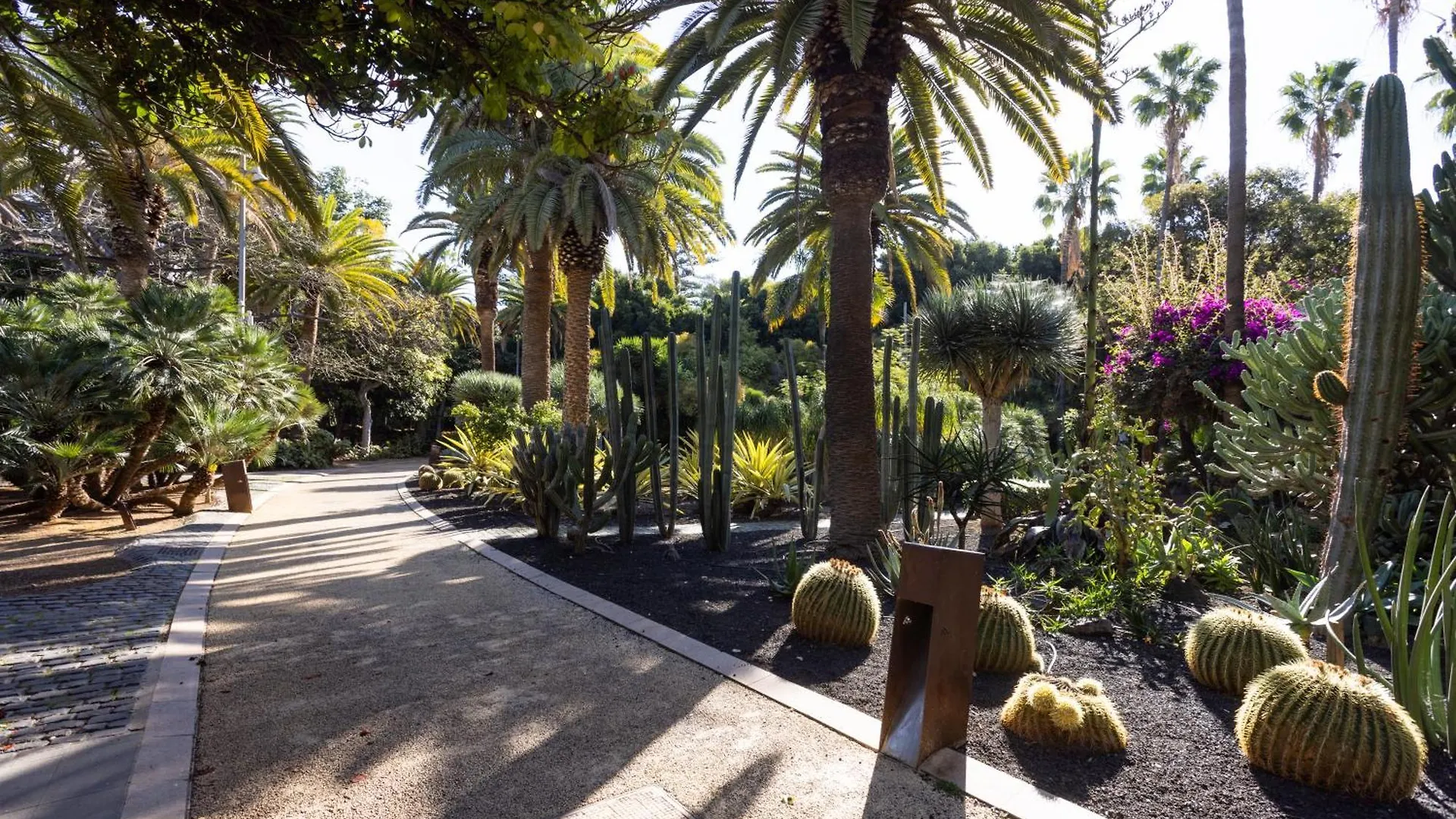 Apartment Home2Book Cozy Seaside Studio With Stunning Views Santa Cruz de Tenerife