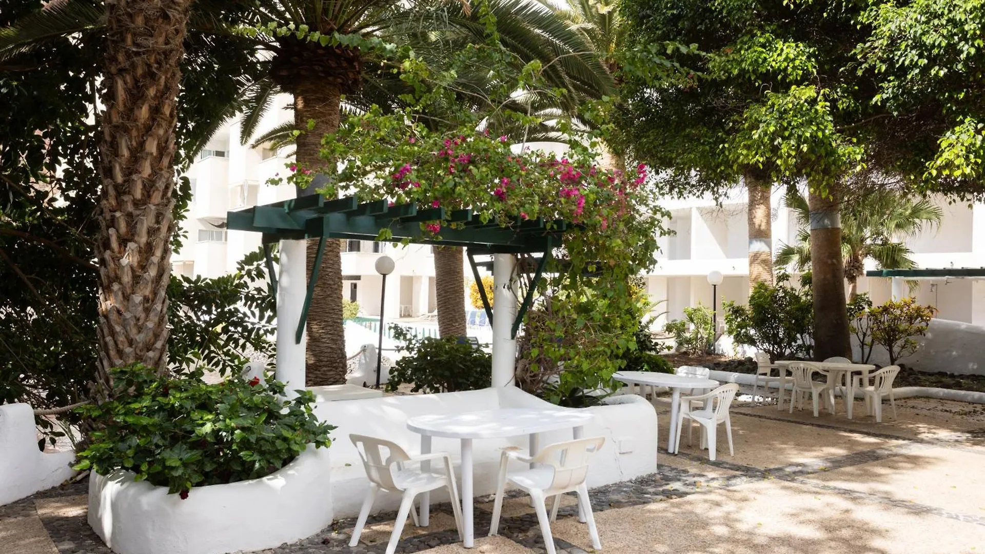 Apartment Home2Book Cozy Seaside Studio With Stunning Views Santa Cruz de Tenerife Spain